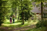 Vakantiehuisjes van Landal in het bos bij Eerbeek