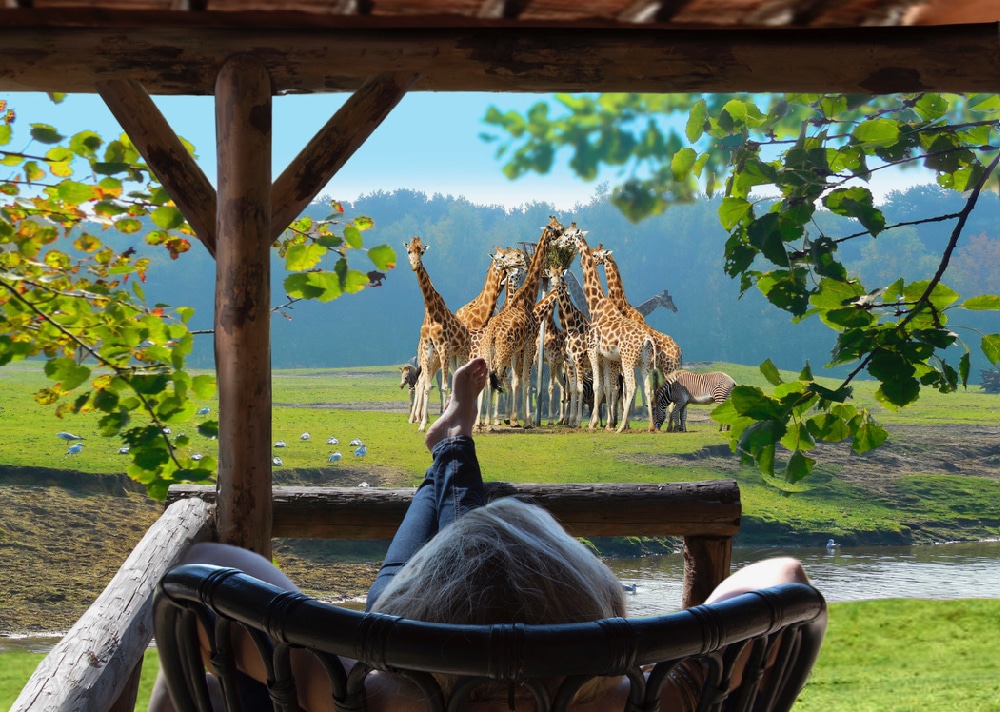 Safari Resort Beekse Bergen