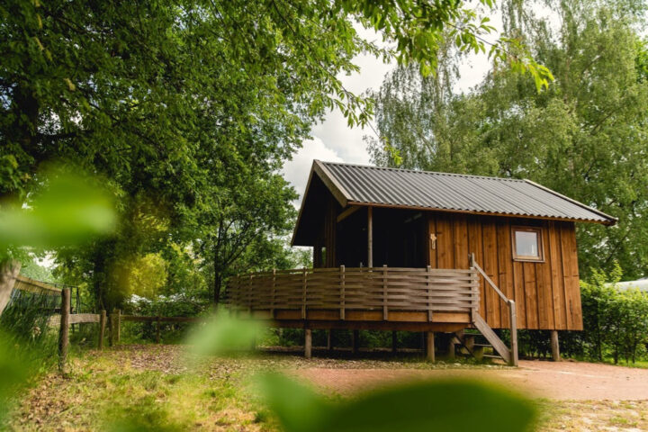 Houten cottage verstopt in het groen